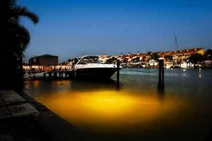 Orange Mega-Watt Underwater LED Lighting System (80 foot power cord)