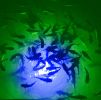 Blue/Green Mega-Watt Iris Underwater LED Lighting System (120 foot power cord)