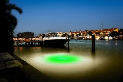 Green/White Mega-Watt Iris Underwater LED Lighting System (40 foot power cord)
