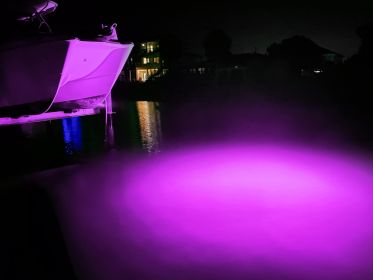 Purple Mega-Watt Underwater LED Lighting System (40 foot power cord)